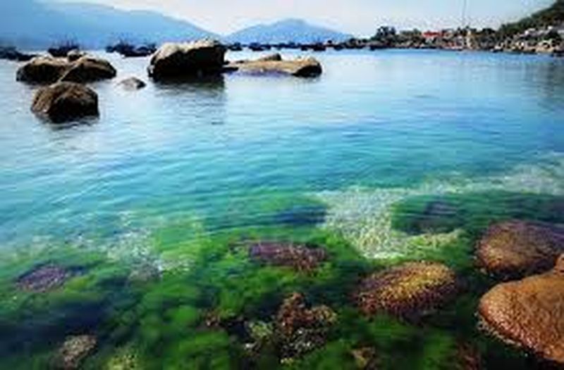 Nha Trang 4 Ngày 3 Đêm Đảo Tôm Hùm