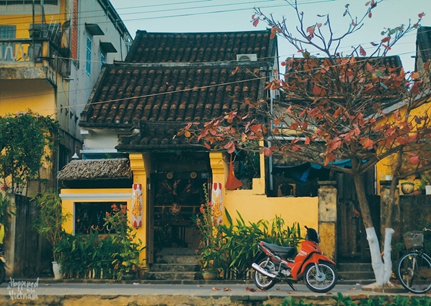 Hồ Chí Minh Đà Nẵng Bà Nà Hội An 4 Ngày 3 Đêm Tết