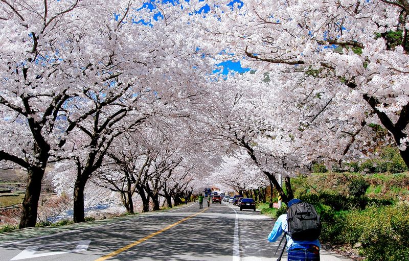 Đà Nẵng Hàn Quốc Đảo Jeju 3 Ngày 3 Đêm