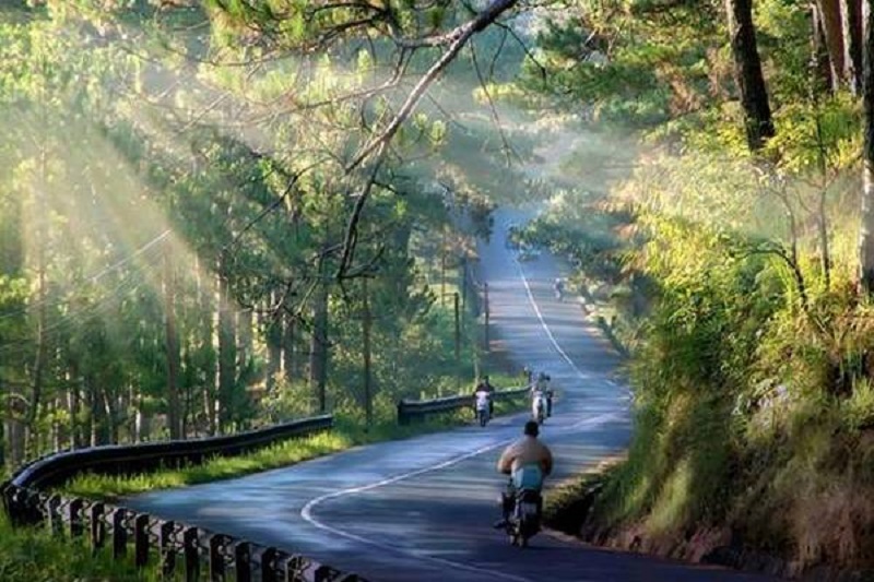 Những thông tin khi đến Đà Lạt 