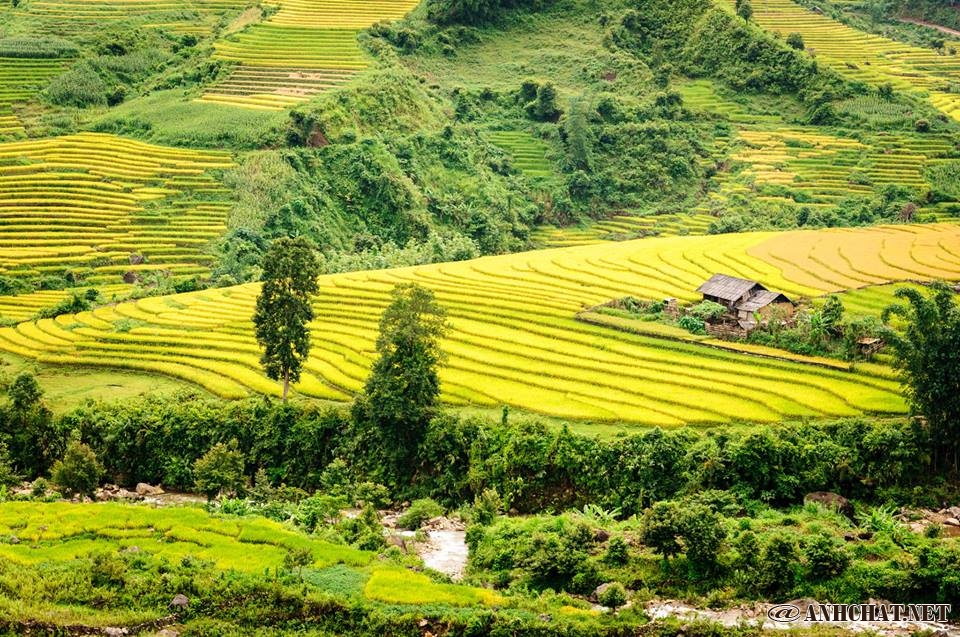 Rượu ngô Na Hang - ấm lòng du khách